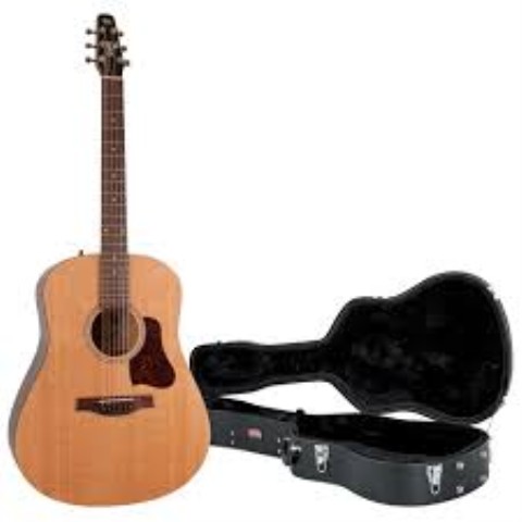 Acoustic guitar cracked spruce top hcase