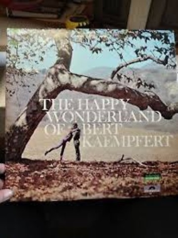 Vynile the happy wonderland of bert ...