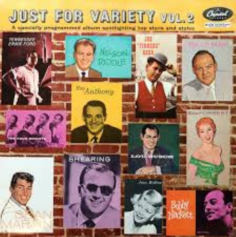 Vynile just for variety vol.2