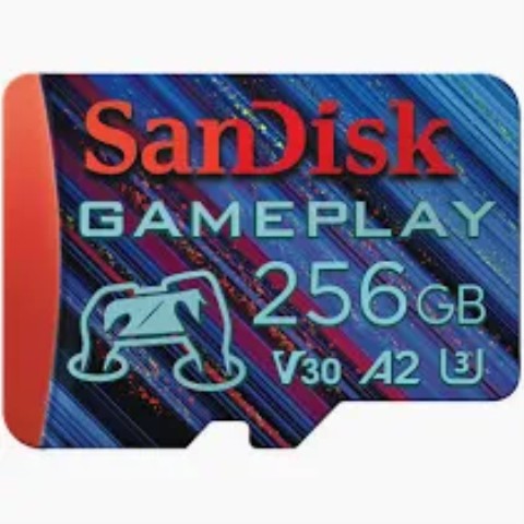 Sandisk gameplay 256gb microsd