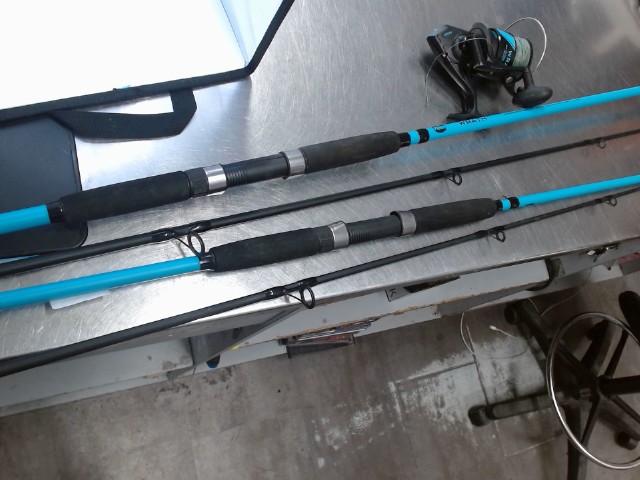 Cane a peche penn wrath