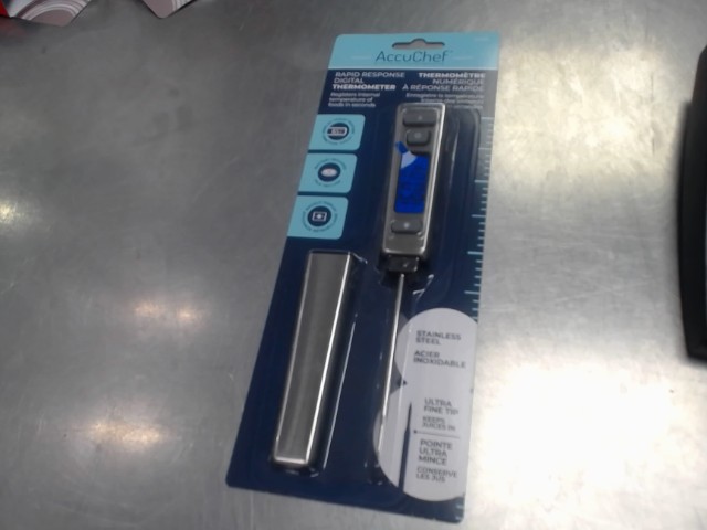 Rapid response thermometer