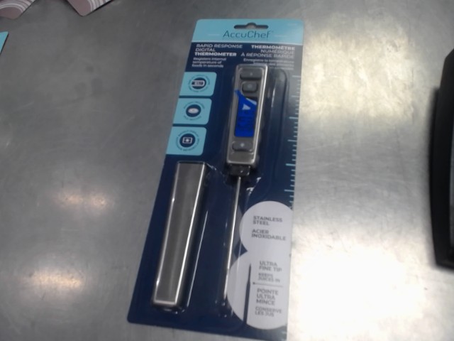 Rapid response thermometer