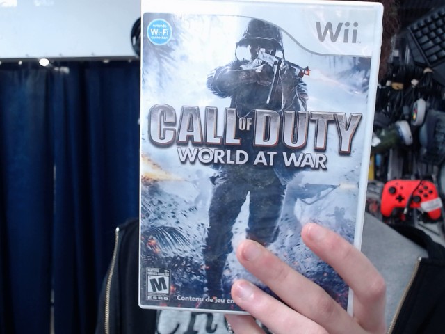Call of duty world at war