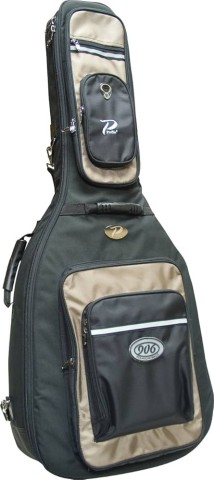 Case guitar