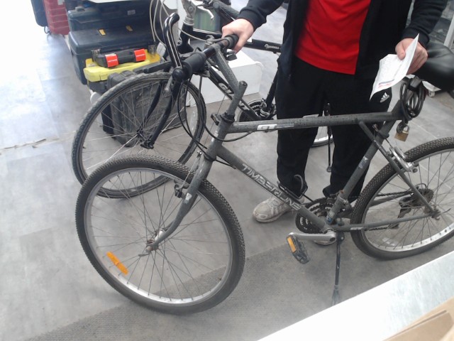 All tegga gt timberline gris