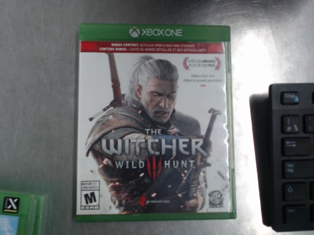 The witcher wild hunt