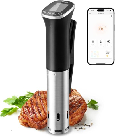 Inkbird sous vide neuf