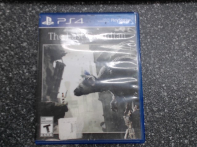 The last guardian