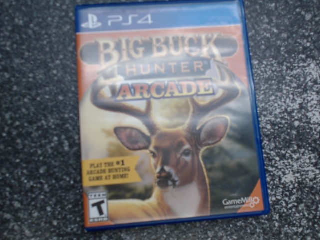 Big buck hunter arcade