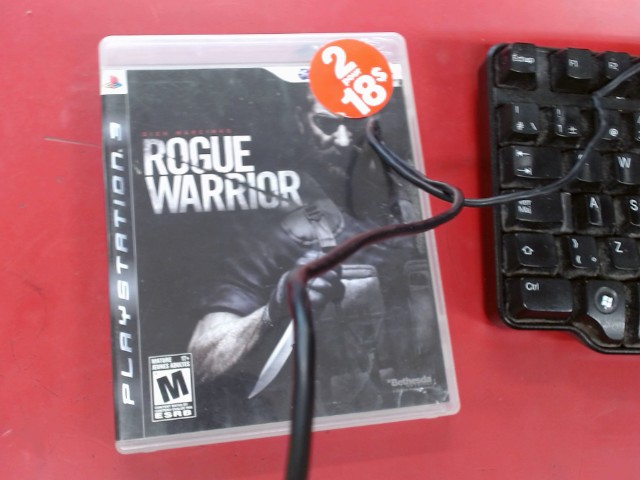 Rogue warrior