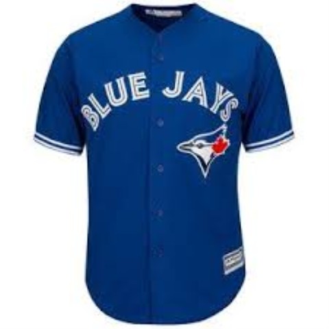 Jesery blue jays blank