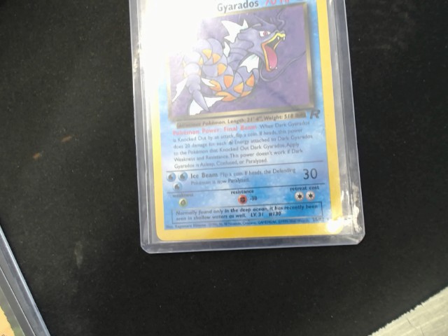 Dark gyarados