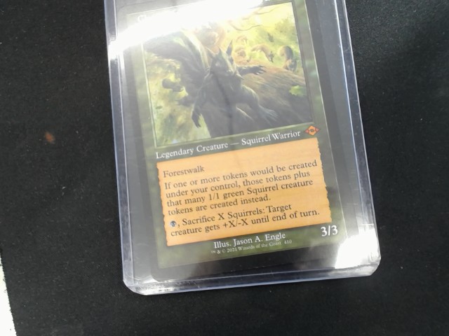 Chatter squirrel general