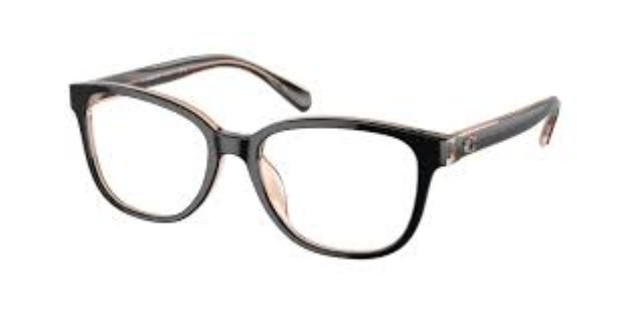 Coach black transparent blush frame