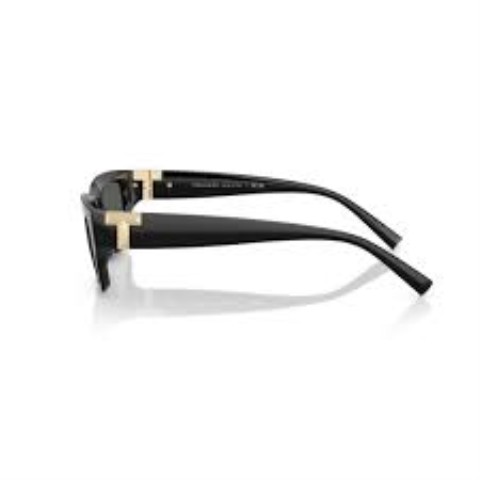 Tiffany&co rectangle sunglasses