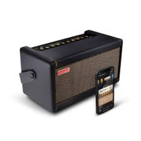 Positive grid spark 40 amplifier