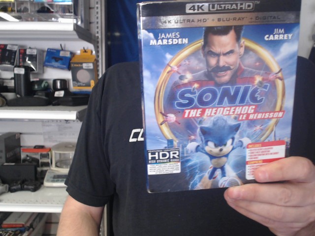 Sonic the hedgehog