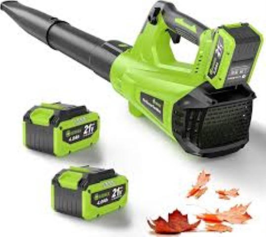 Leaf blower poifl vert 21 v