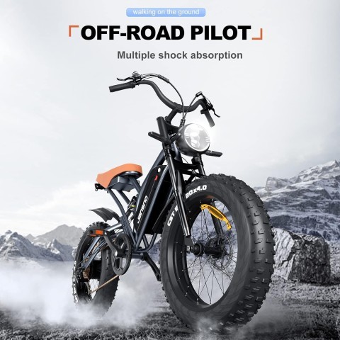 Electric bike acc 151