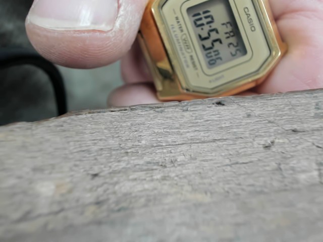 Casio doree femme
