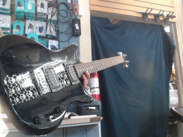 Guitare tete de mort dans sac