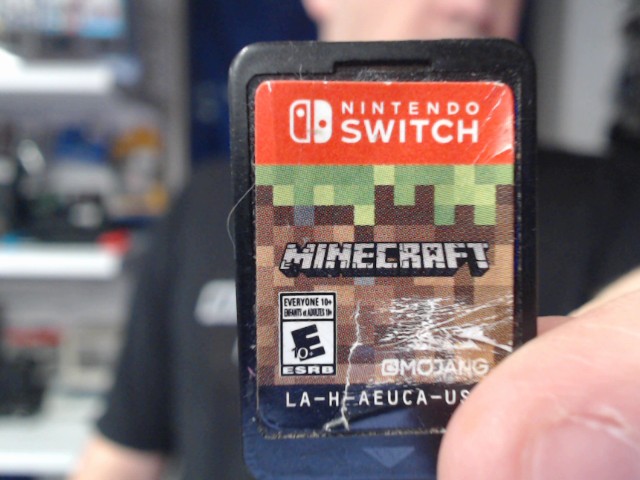 Minecraft