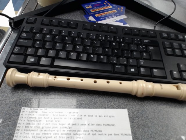 Flute debutant