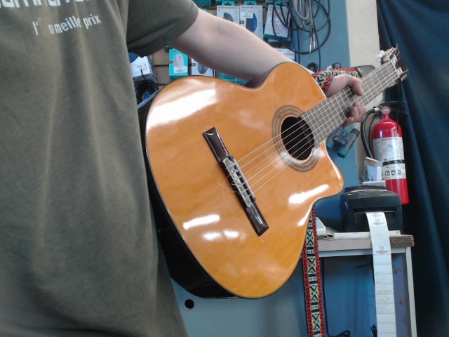 Takamine jasmine guit electro class case
