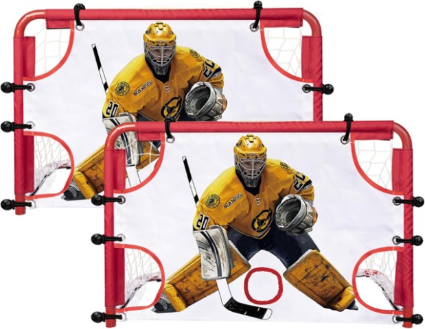Kit de deux but de mini hockey