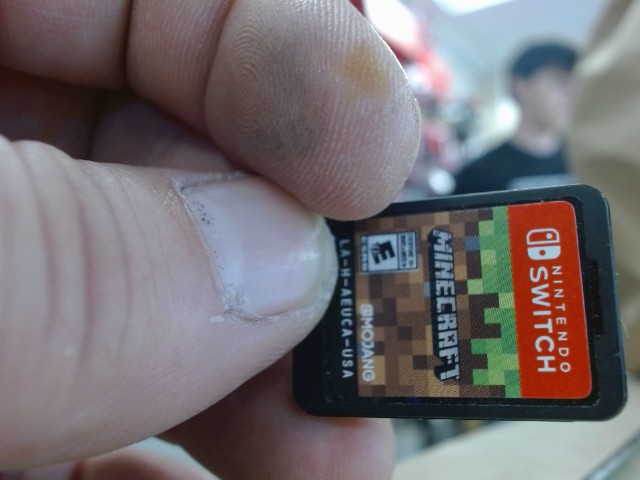 Minecraft