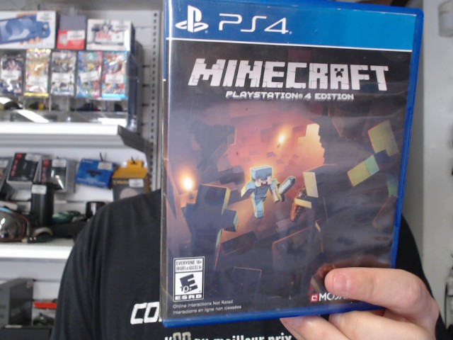 Minecraft playstation 4 edition
