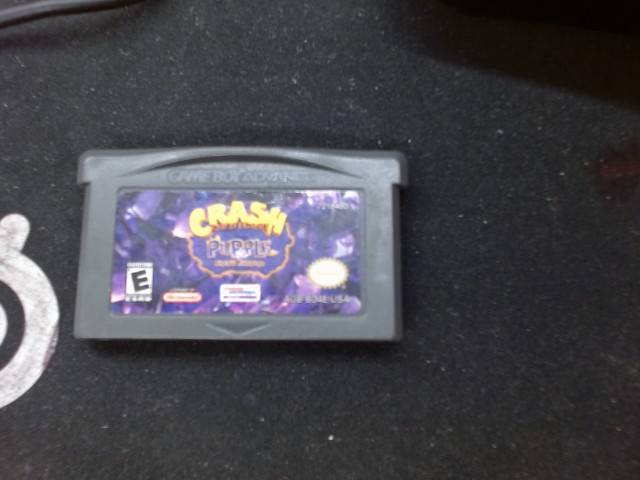 Crash bandicoot purple