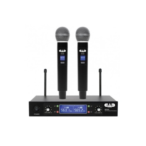 Dual wireless microphone