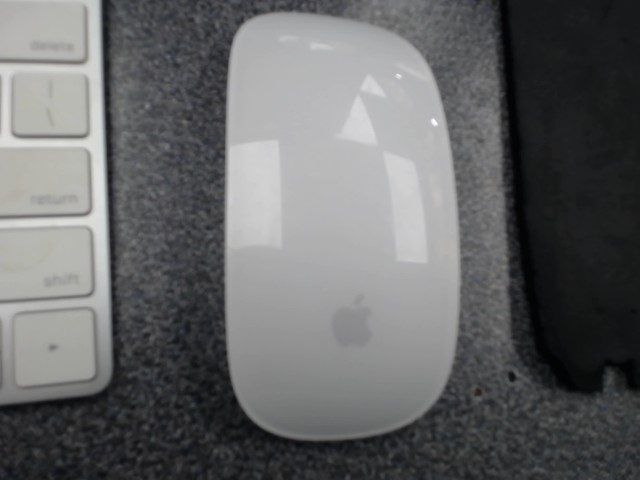 Apple mouse