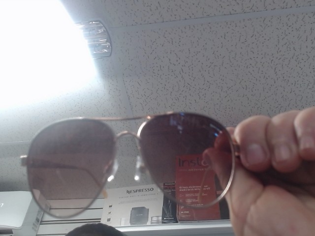 Steve madden glasses