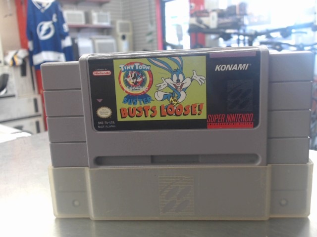Tiny toon adventures buster busts loose