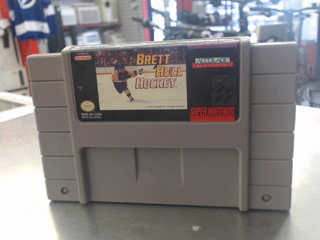 Brett hull hockey loose