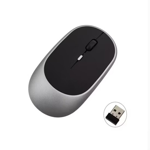 Souris pour ordinateur sans fil