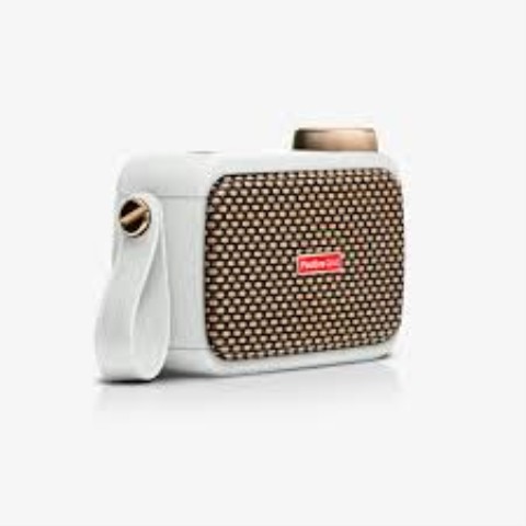 Amplificateur positive grid spark go