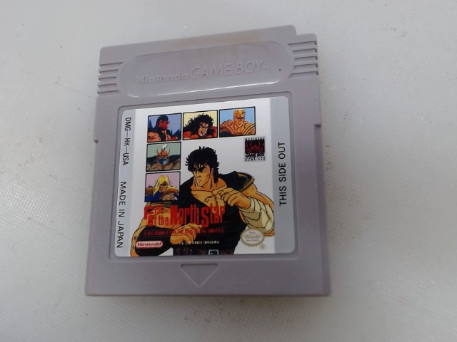 Fist of the north star