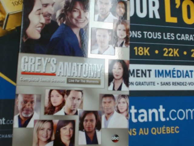 Grey's anatomy saison 10 complete