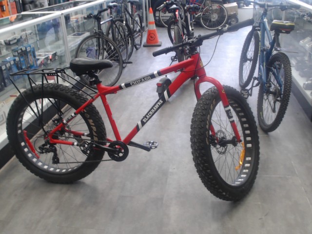 Chicago blackhawk bike