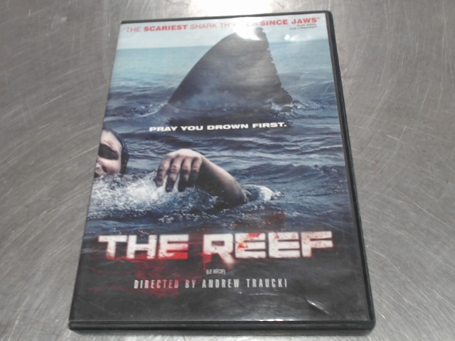 The reef