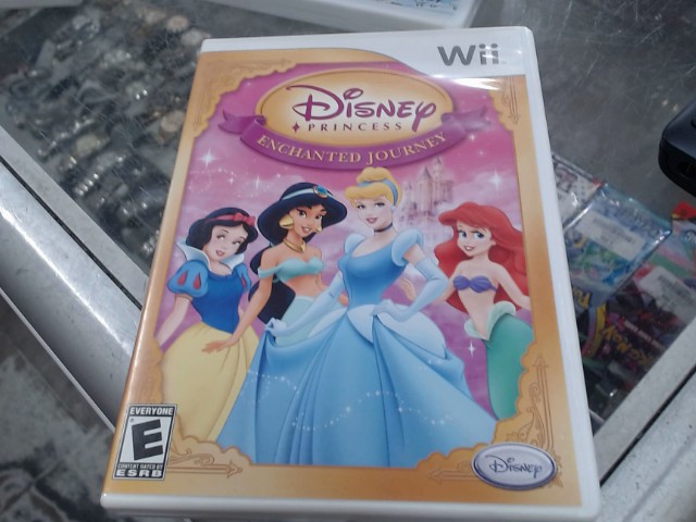 Disney princess: enchanted journey