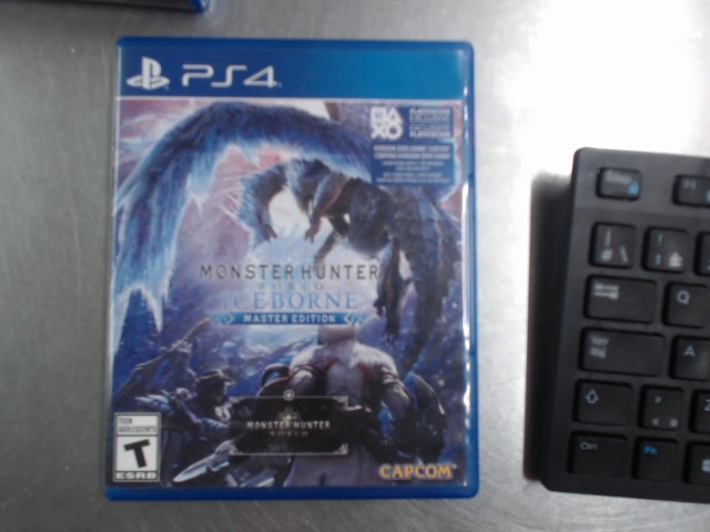 Monster hunter world iceborne