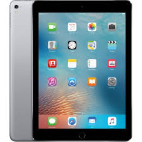 Ipad pro in case