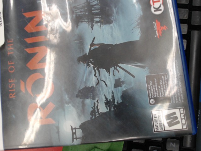Rise of the ronin