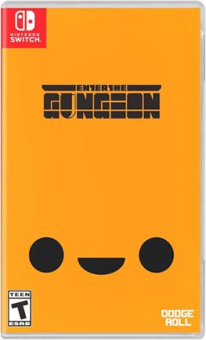 Enter the gungeon