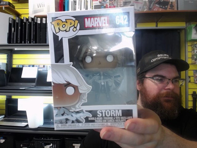 Figurine pop storm